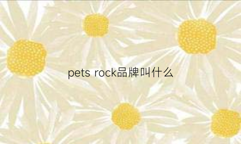 petsrock品牌叫什么(petsrock都有哪些明星)